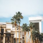 My Nevada Travel