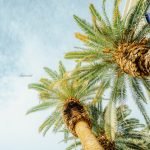 My Nevada Travel
