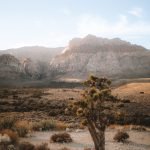 My Nevada Travel
