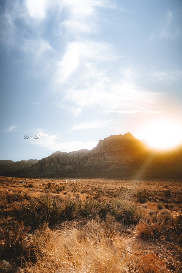 My Nevada Travel