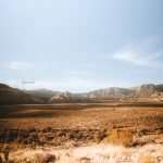 My Nevada Travel