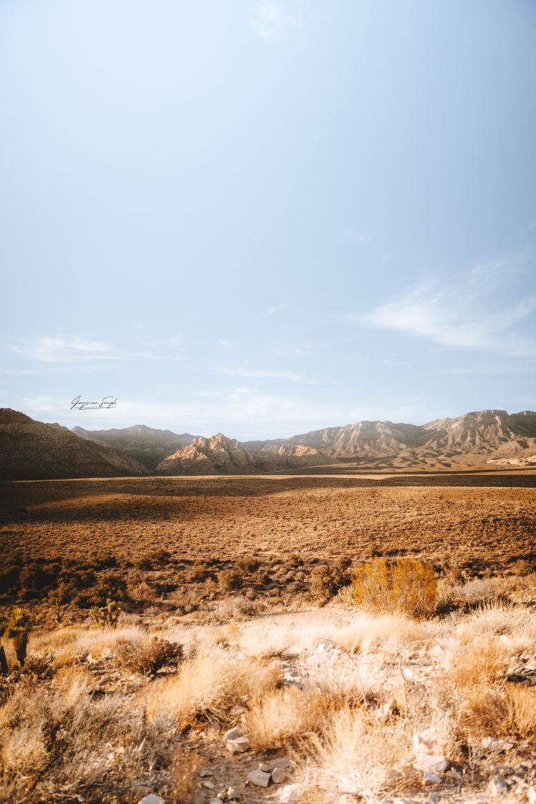 My Nevada Travel
